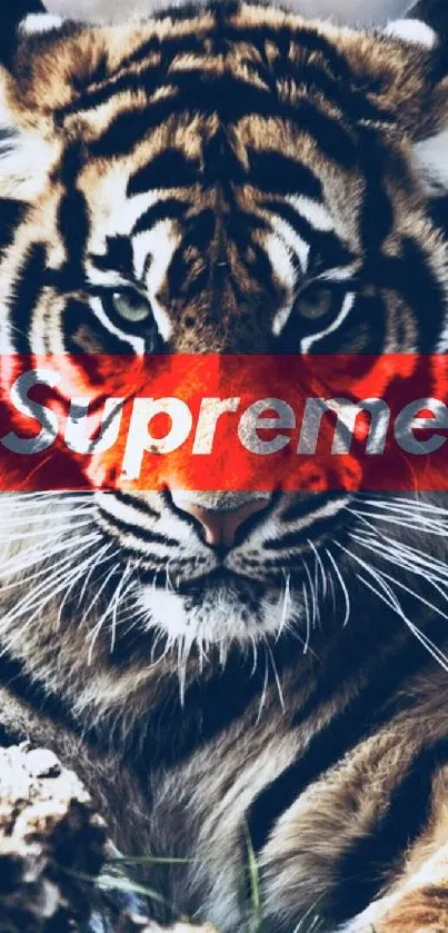 Fierce tiger with Supreme logo overlay on mobile background.