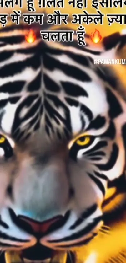Fierce tiger illustration with fiery orange background.