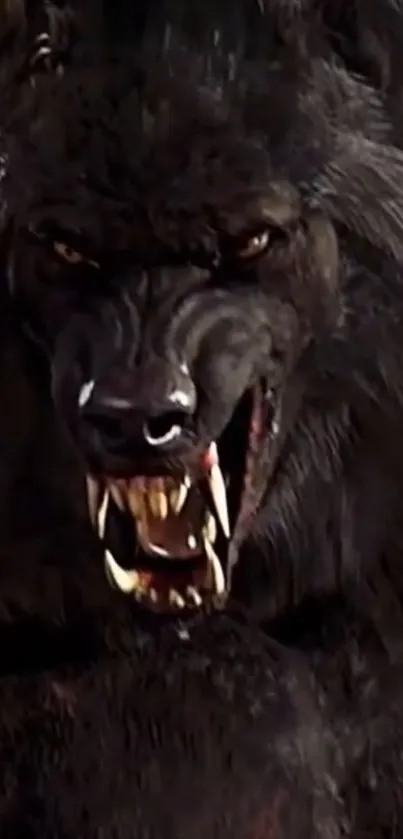 Fierce werewolf snarling in dark wallpaper.