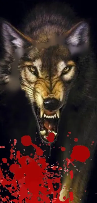 Fierce wolf with red splatter on dark background wallpaper.