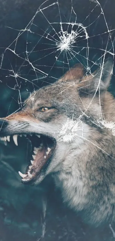 Fierce wolf with cracked screen effect on mobile wallpaper.