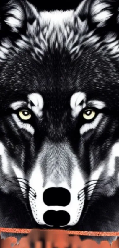Black and white wolf mobile wallpaper with piercing eyes.