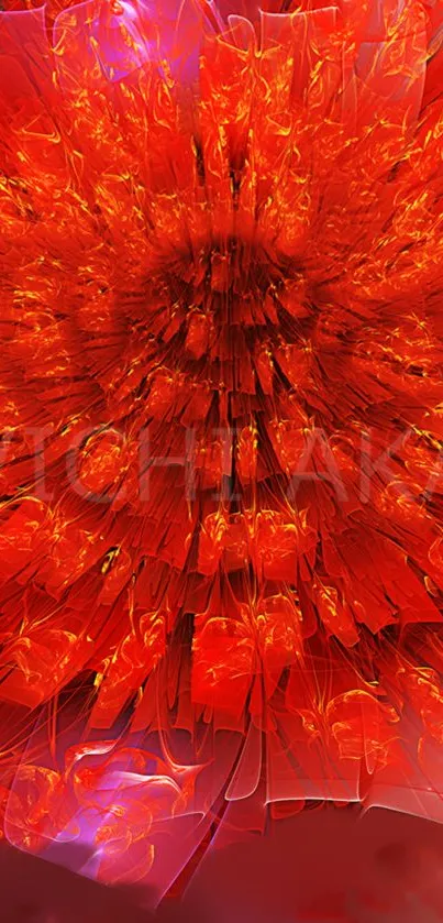 Fiery abstract floral art with vibrant red hues.