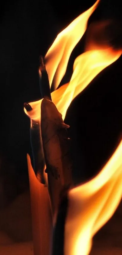 Fiery abstract flames in dark background.