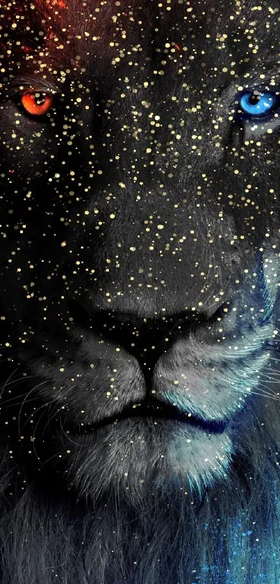 Lion face with fiery and icy eyes in a vibrant wallpaper.