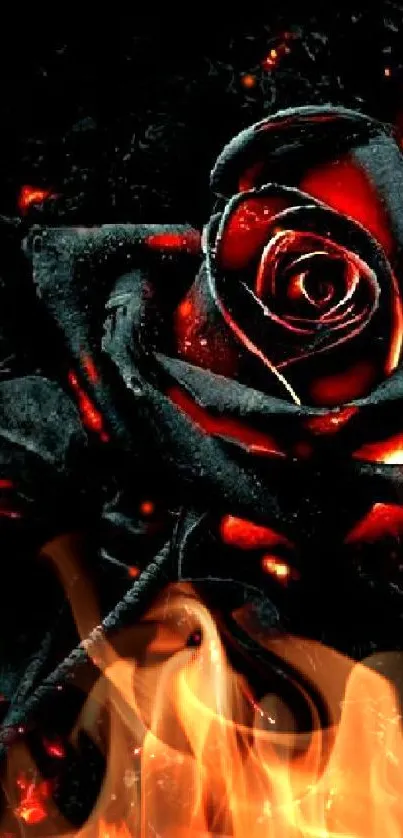 Fiery black rose with red accents glowing dramatically.