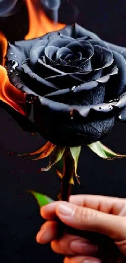 A black rose on fire against a dark background held in a hand.