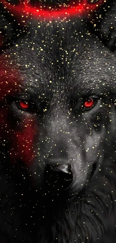 Black wolf with red highlights on dark background.