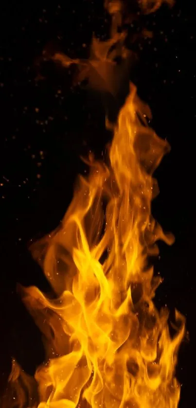 Vibrant orange flames rising against a black background.