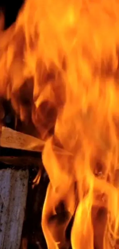 Vibrant flames from wood burning intensely.