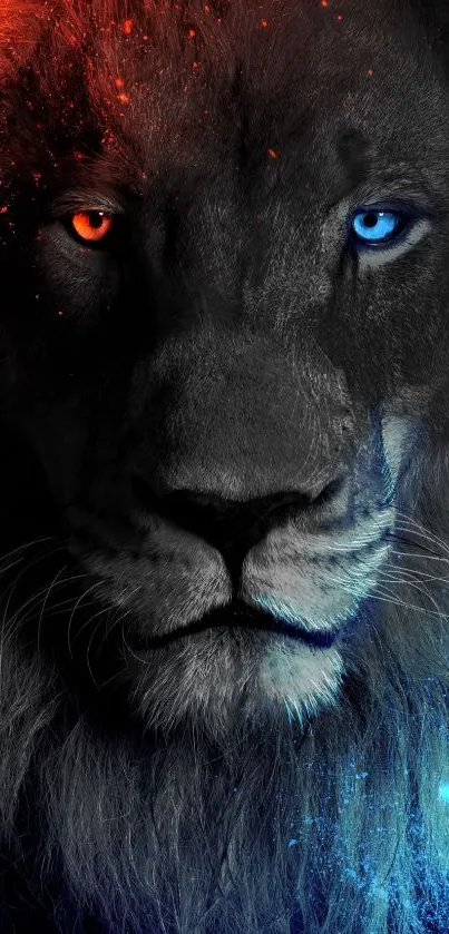 Fiery lion with contrasting blue eyes stands out as vibrant mobile wallpaper.