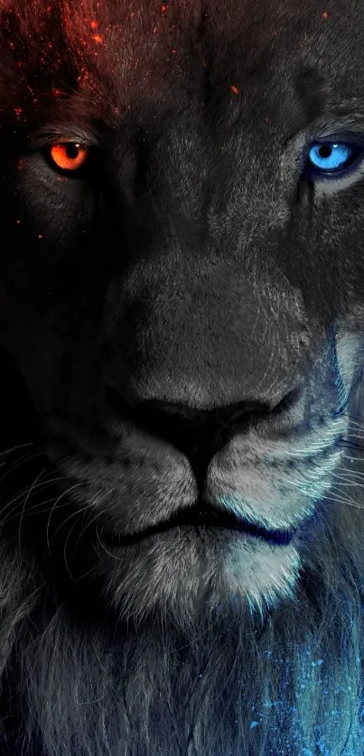 Dark lion wallpaper with fiery and cool colors.