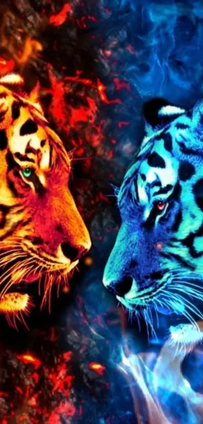 Fiery red and icy blue tigers clash in intense wallpaper.