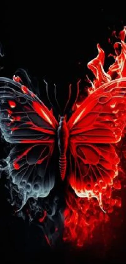 Red and black butterfly with fiery wings on a dark background.