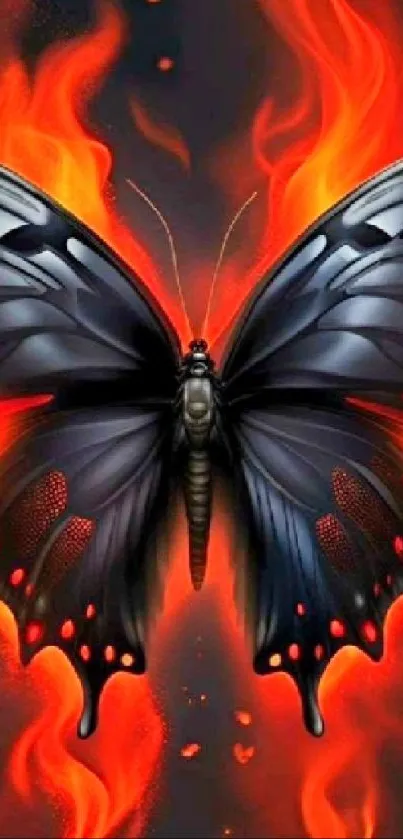 Black butterfly with fiery wings and flames on a dark background.