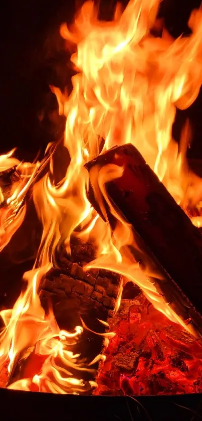 Vibrant orange flames from a campfire burn with glowing embers.