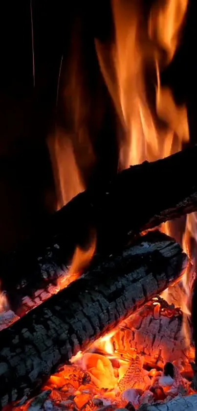 Vibrant campfire wallpaper with glowing embers and fiery orange flames.