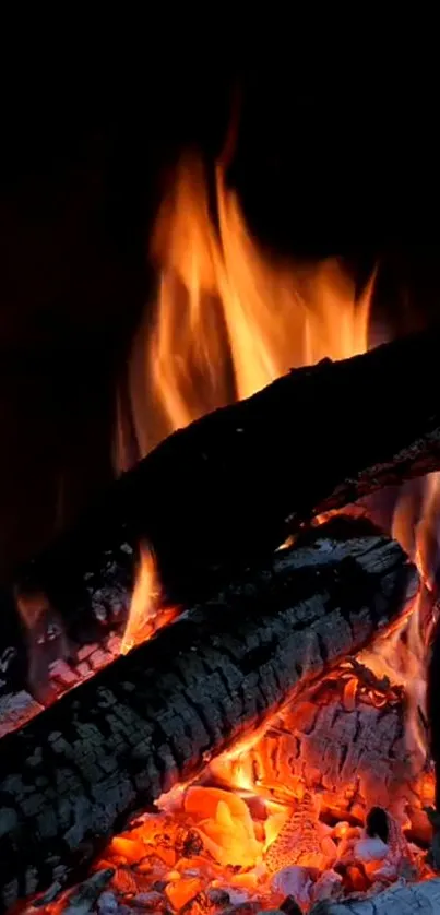 Close-up view of a glowing campfire with bright orange flames.