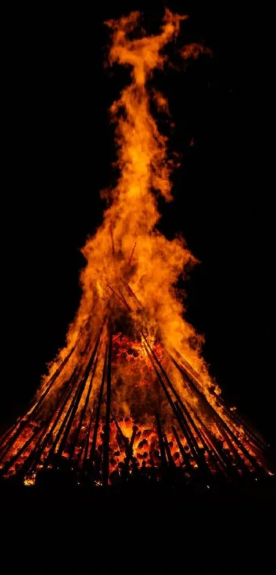 Blazing campfire with vibrant flames in the night.