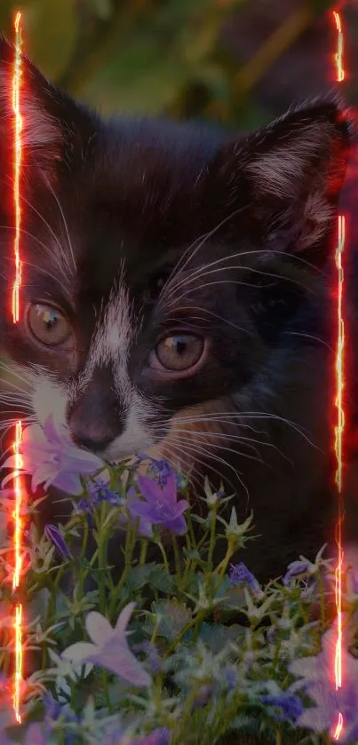 Black and white kitten surrounded by purple flowers and fiery effects.