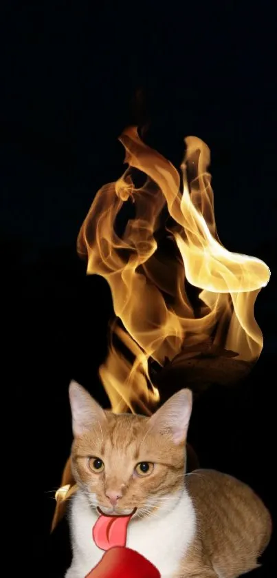 Mobile wallpaper of a cat with flames behind it in a dark setting.