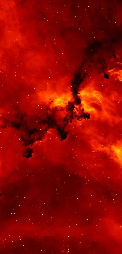 Fiery red cosmic wallpaper showcasing deep space.