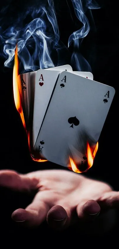 Hand holding flaming playing cards on a dark background.