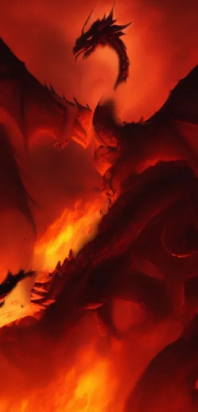 Fiery dragon battle scene with flames and dark wings.