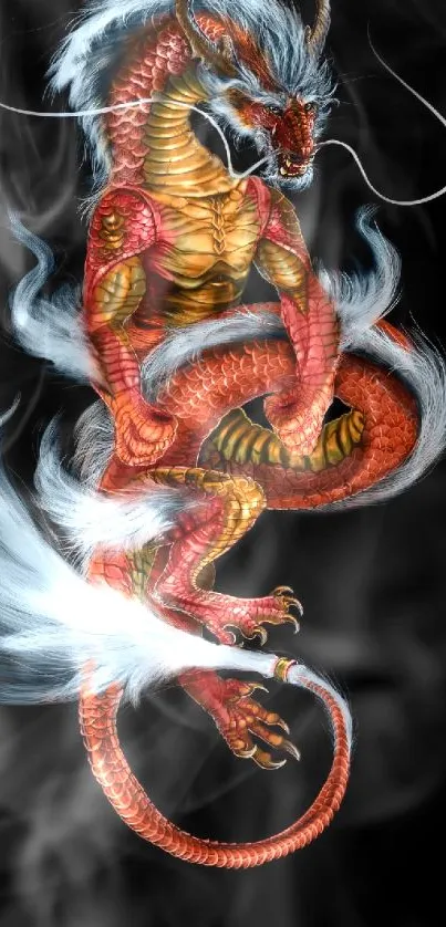 Fiery dragon with white mane on dark background.