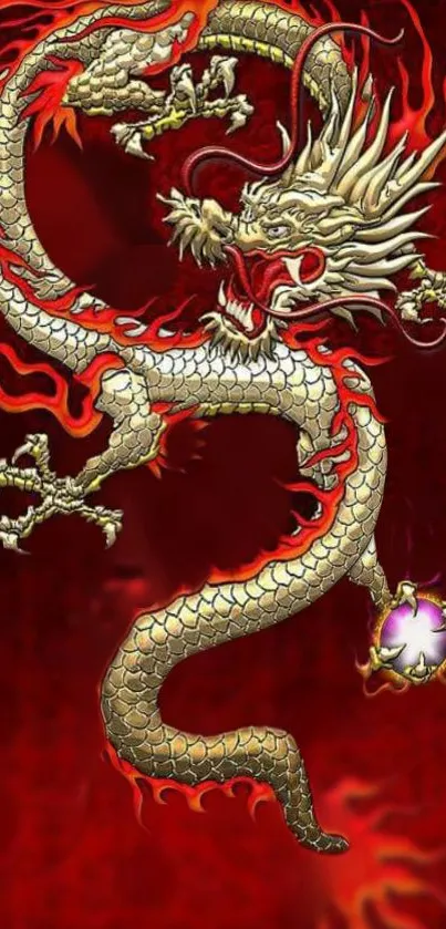 A stunning artwork of a fiery dragon on a vibrant red background, perfect for mobile screens.