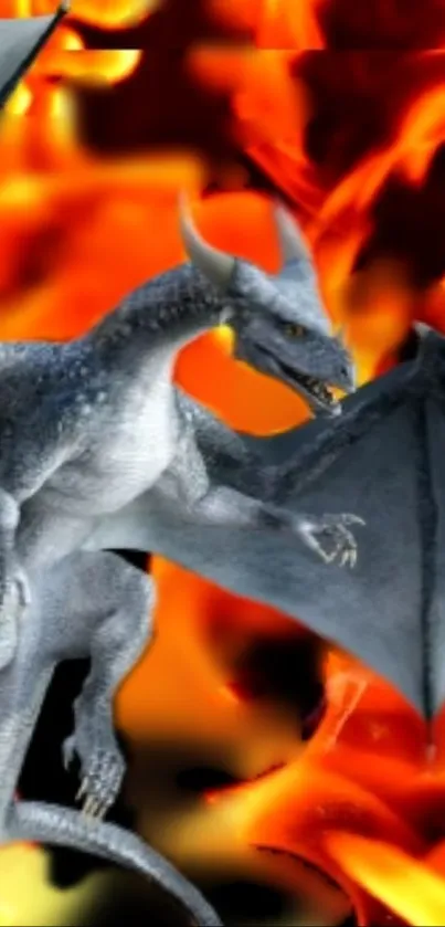 Dragon soaring amid blazing flames wallpaper.
