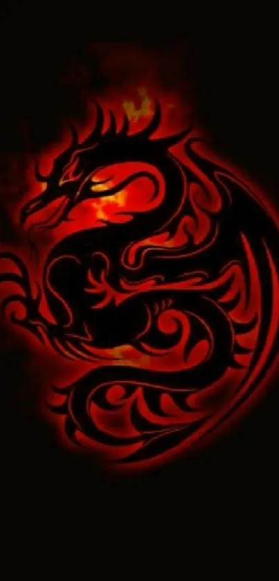 Fiery dragon on dark background, artistic wallpaper.