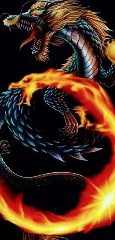 Fiery dragon embracing a glowing orb on a dark background.