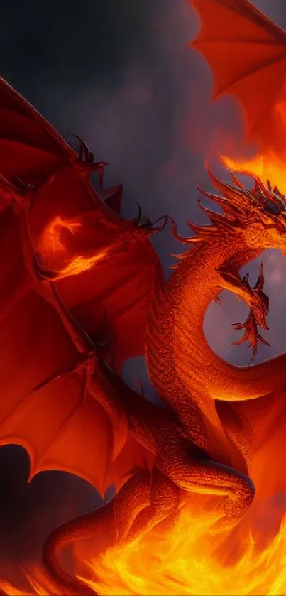Fiery dragon in flames on a dark background.