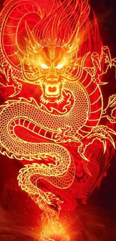 Fiery glowing dragon on red background wallpaper.