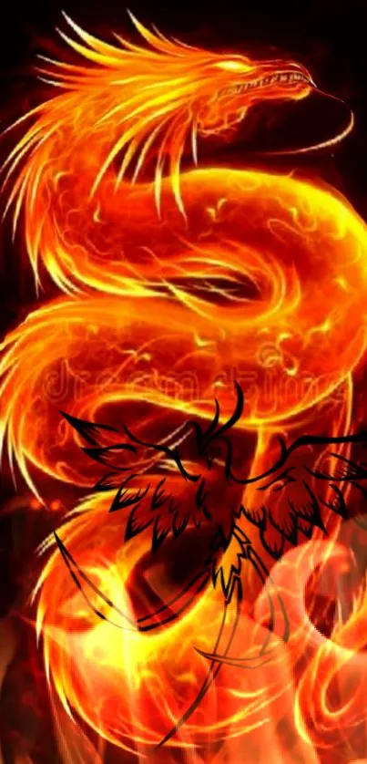 Fiery dragon and phoenix mobile wallpaper with blazing colors.