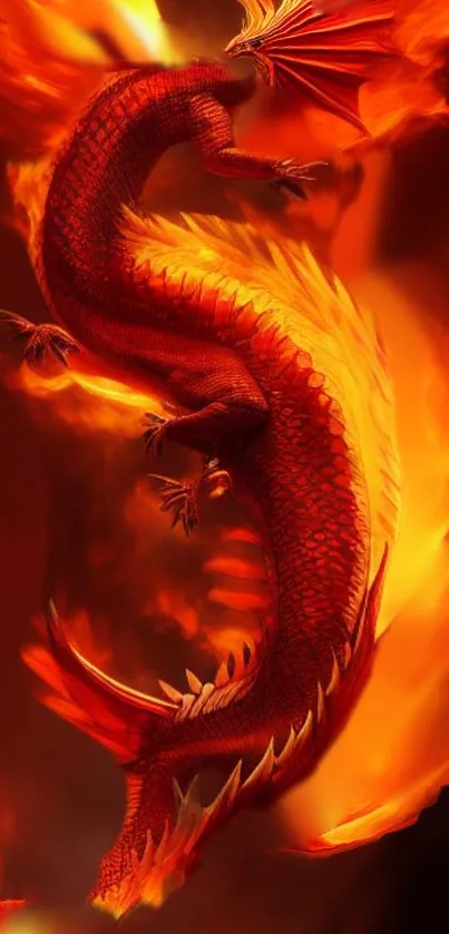 Fiery red dragon wallpaper with vibrant flames.