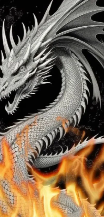 Fiery dragon emerges from vibrant flames on a phone wallpaper.