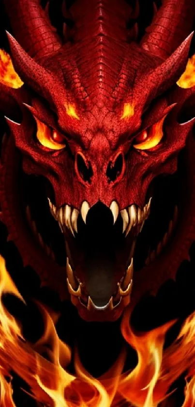 Fiery dragon with blazing fire background.