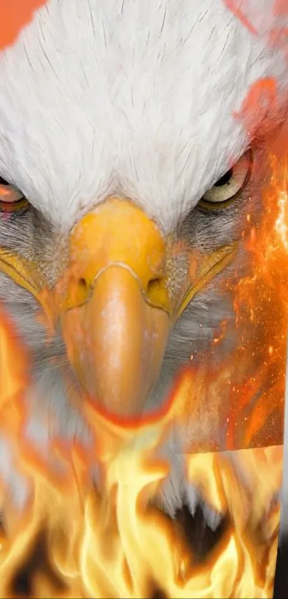 Fierce eagle with fiery flames as mobile wallpaper.