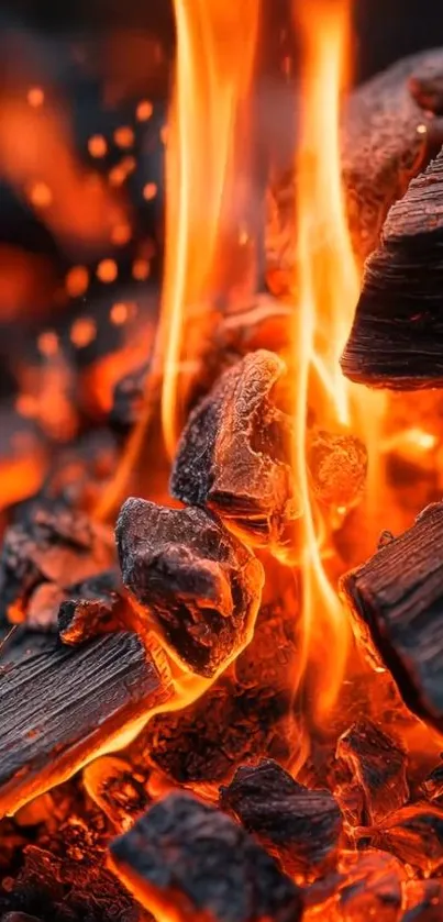 Burning embers and flames in a dynamic wallpaper.
