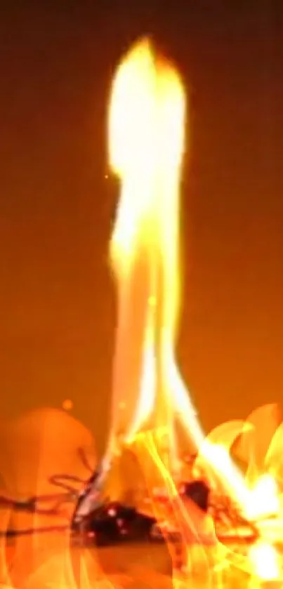 Bright orange flame on a dark background.