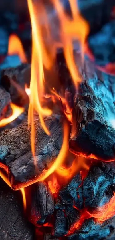 Close-up of vibrant orange flames and embers.
