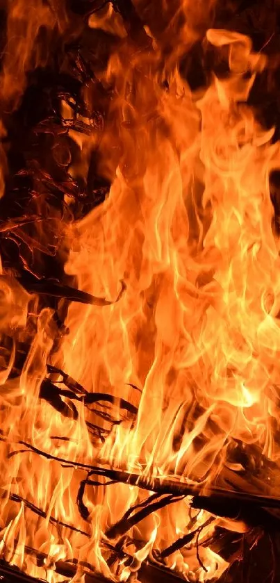 Vivid orange flames showcasing intense heat on a mobile wallpaper.