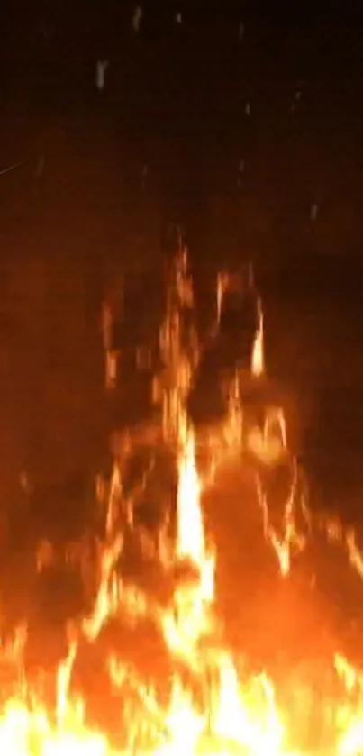 Fiery flames illuminating the dark night.