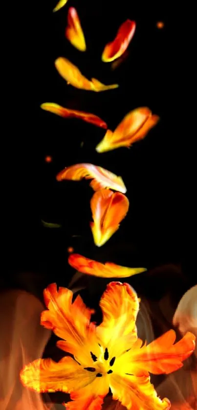 Fiery orange floral digital art with glowing petals on black background.