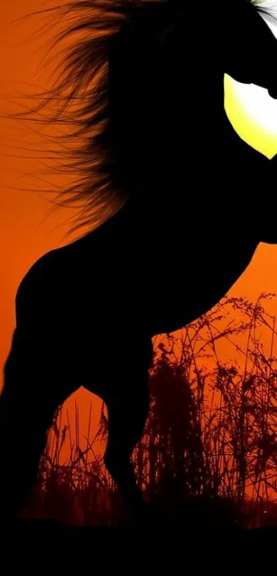 Silhouette of a horse under a fiery orange sunset.