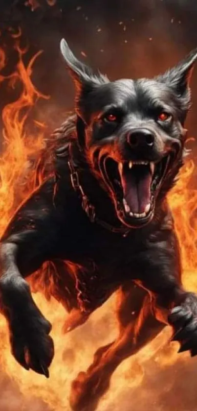 Fiery black dog running through intense flames