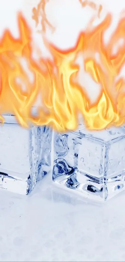 A vivid image of fiery flames engulfing clear ice cubes.