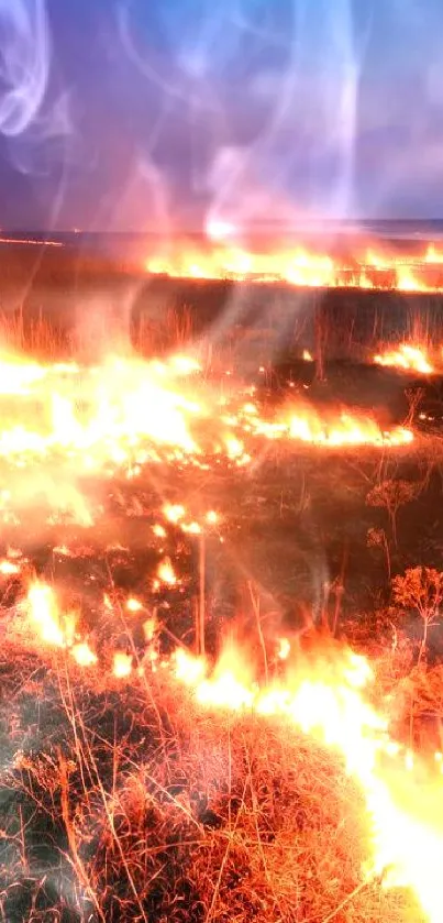 Fiery landscape with vivid flames and dynamic smoke effects.